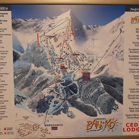 Ski-in Ski-out Fantastic Apartment Bansko